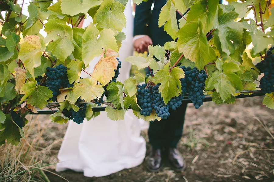 Maysara-Winery-Wedding-Photographs-138.JPG