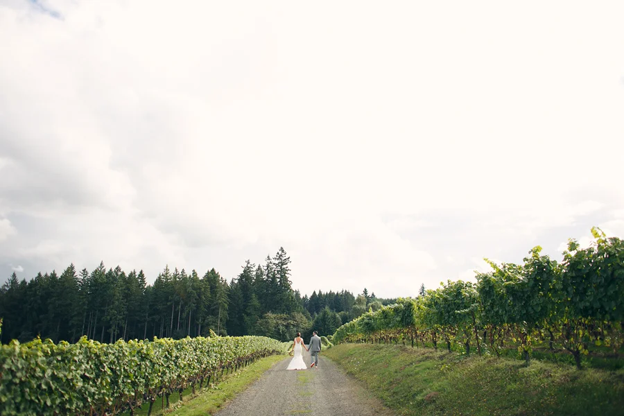Hawks-View-Cellars-Wedding-Photographs-020