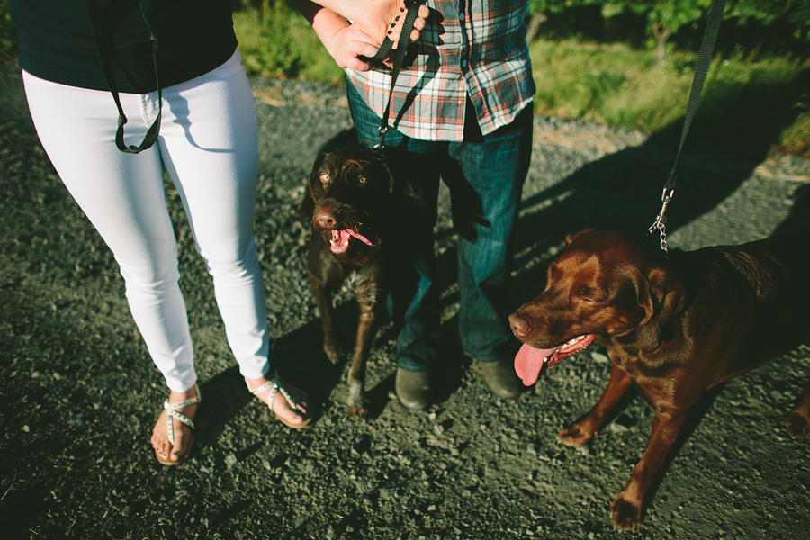 Dundee-Oregon-Engagement-Photographs-4.jpg