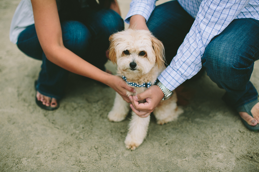 Cannon-Beach-Engagement-Photographs-15.jpg