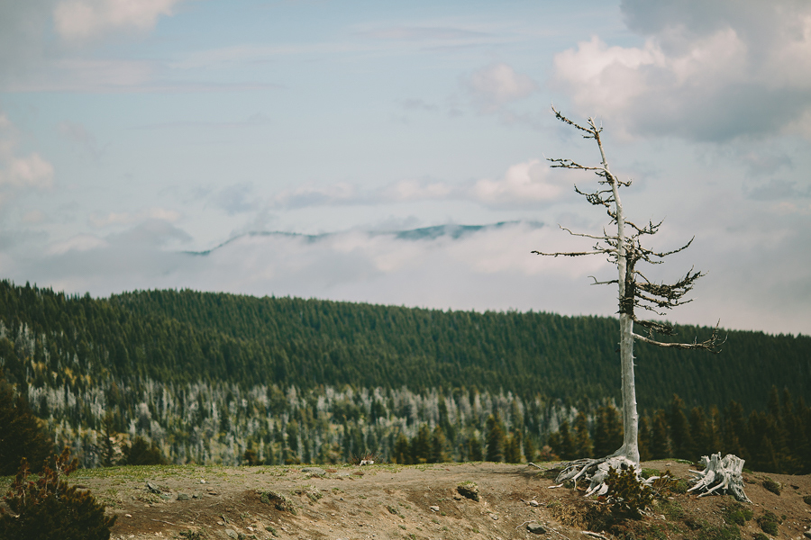 Timberline-Lodge-Wedding-4.jpg