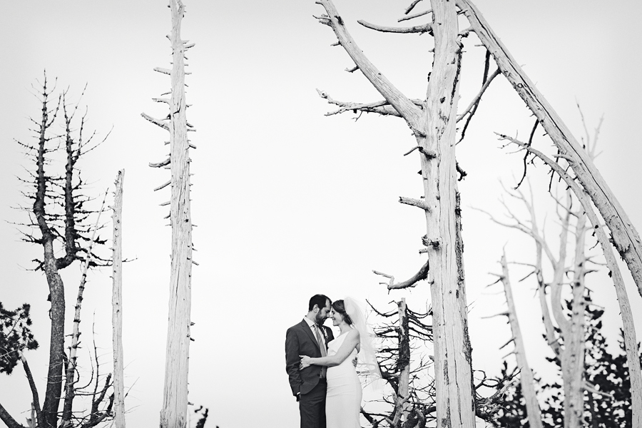 Timberline-Lodge-Wedding-82.jpg