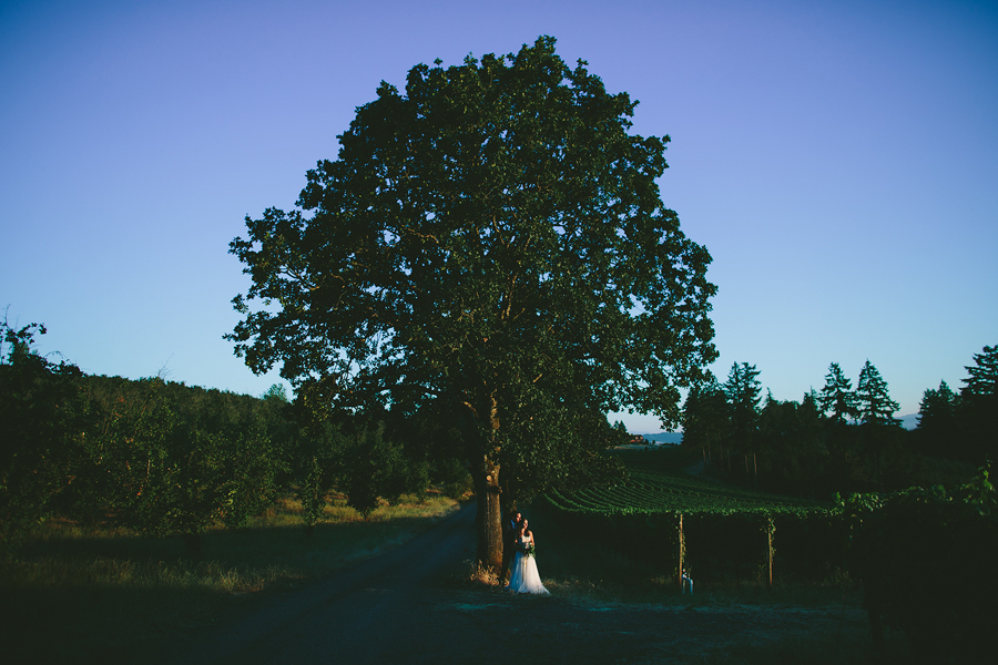 Vista-Hills-Vineyard-Wedding-Photographs-1.jpg