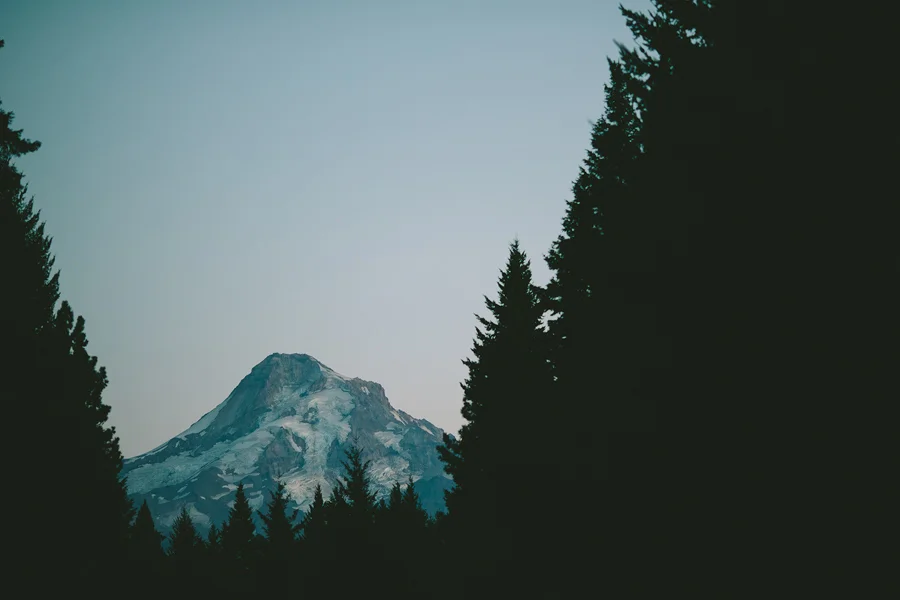 Clarkes-Mountain-Estate-Wedding-97.jpg