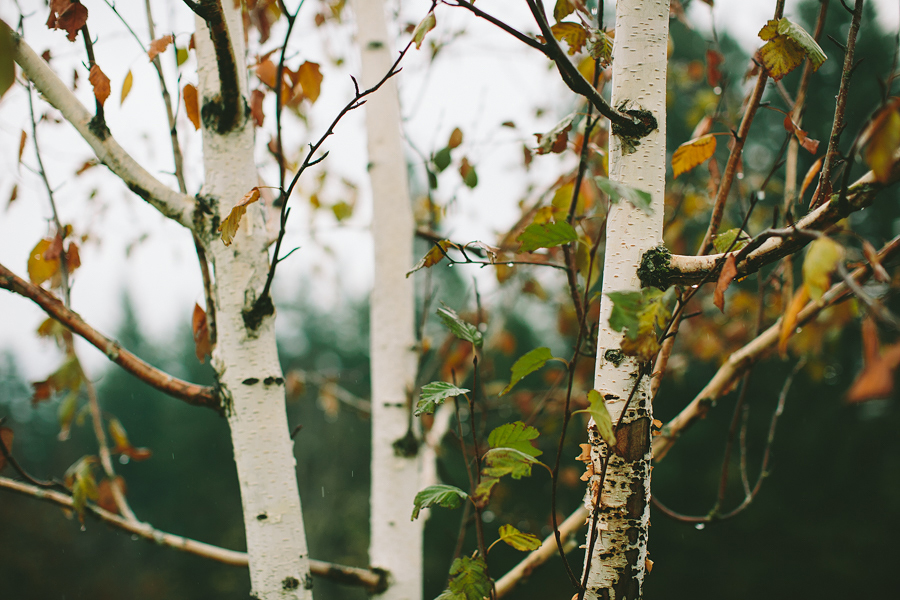 Skamania-Lodge-Wedding-4.jpg