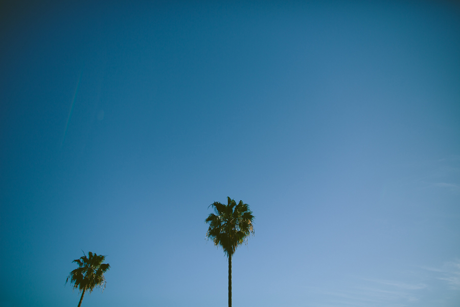 Santa-Monica-Pier-Engagement-Photographs-10.jpg