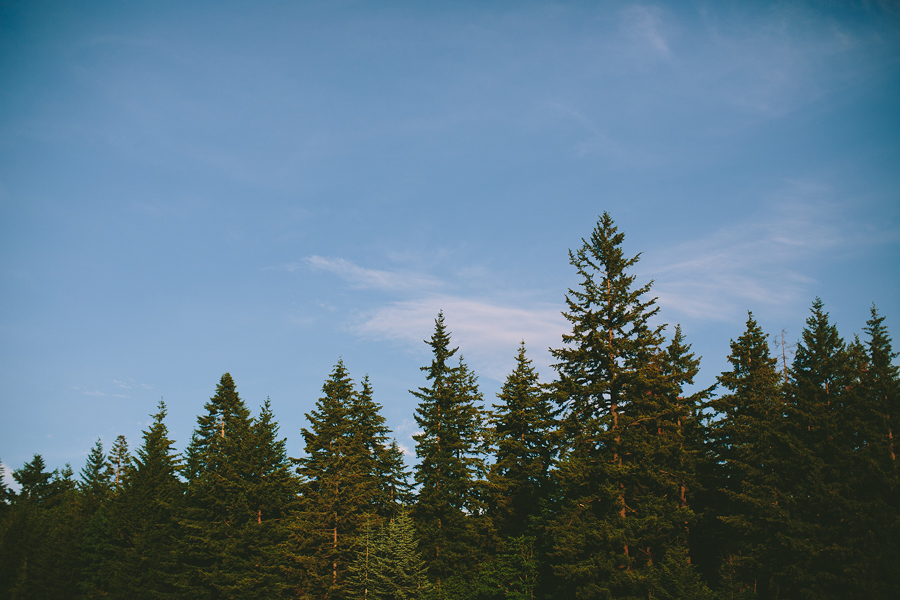 Mt-Hood-Organic-Farms-Wedding-84.jpg