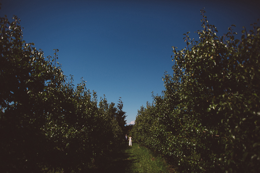 Mt-Hood-Wedding-Organic-Farms-Wedding-Photographs-22.jpg