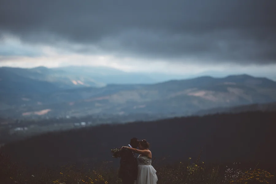 Gorge-Crest-Vineyards-Wedding-Photographs-9.jpg