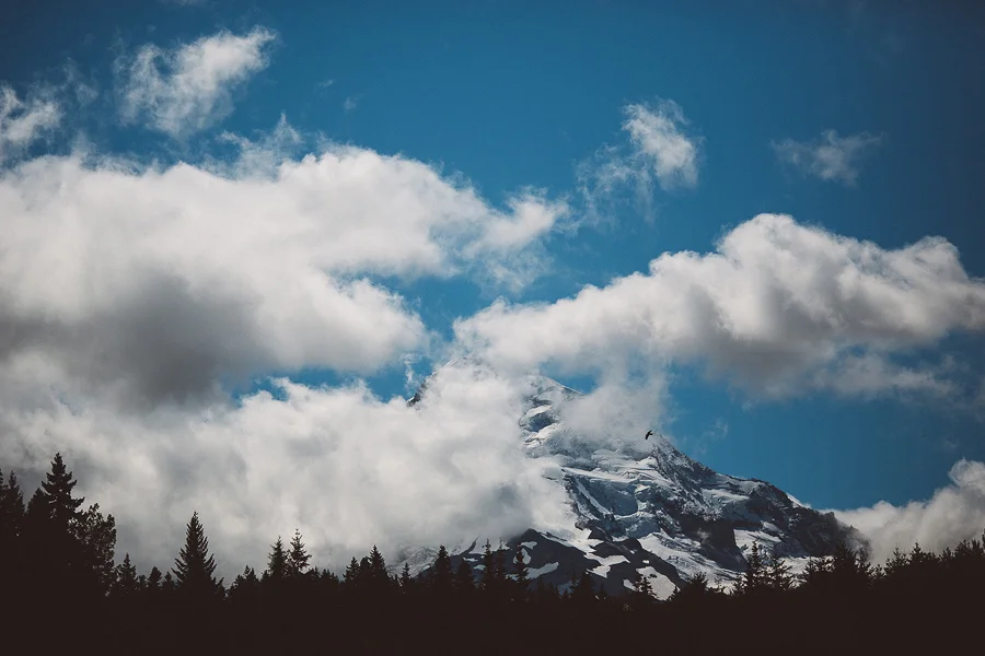 Mt-Hood-Bed-and-Breakfast-Wedding-Photos-2.jpg