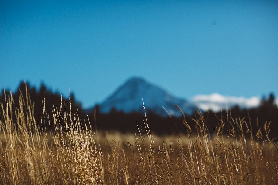 Mt-Hood-Bed-and-Breakfast-Wedding-Photos-120.jpg