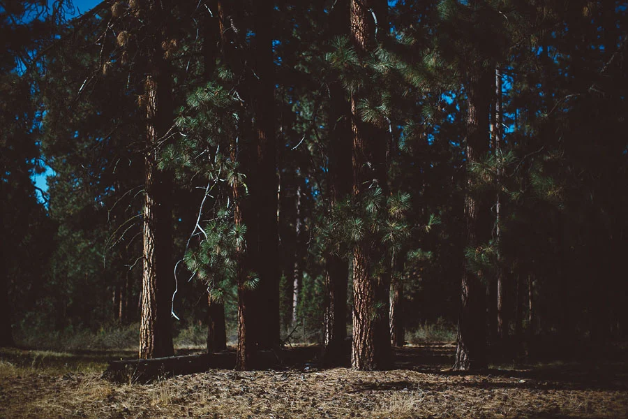 Black-Butte-Ranch-Wedding-Photos-2.jpg