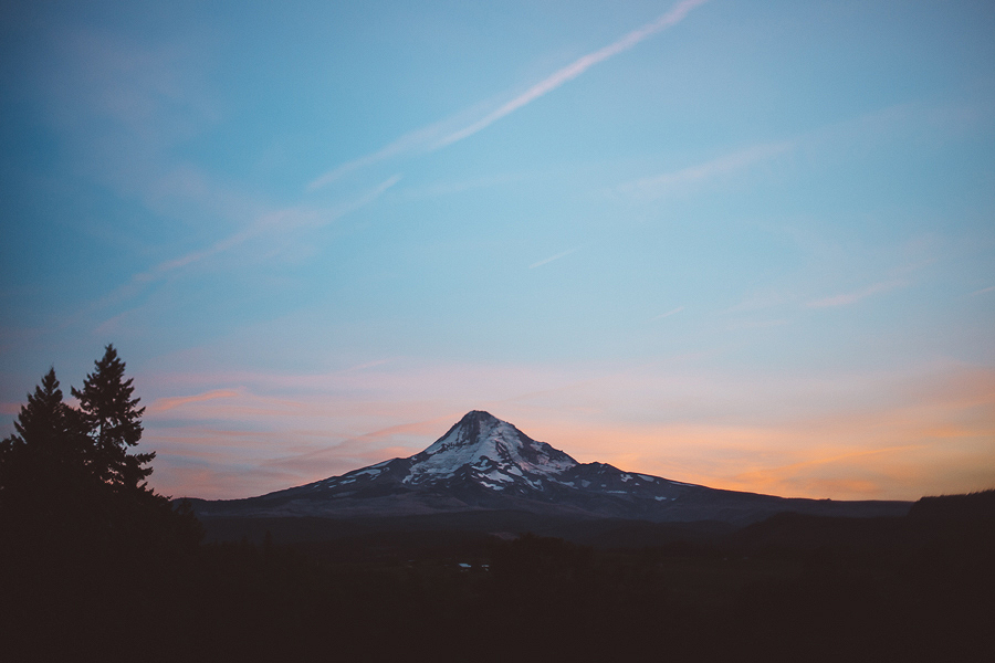 Mt-Hood-Organic-Farms-Wedding-Photographs-161.jpg