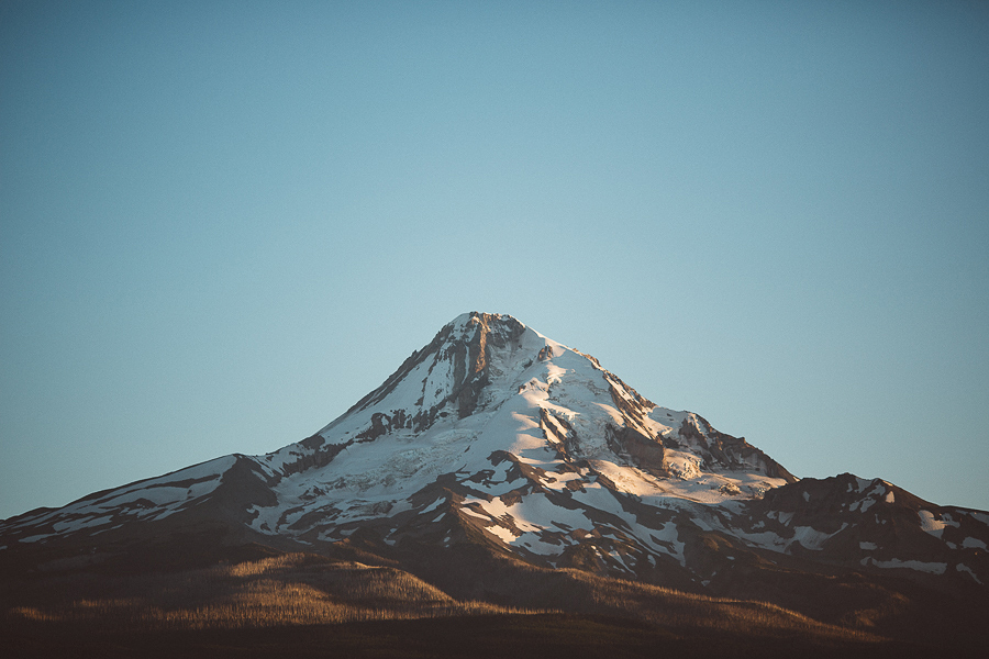 Mt-Hood-Organic-Farms-103.JPG