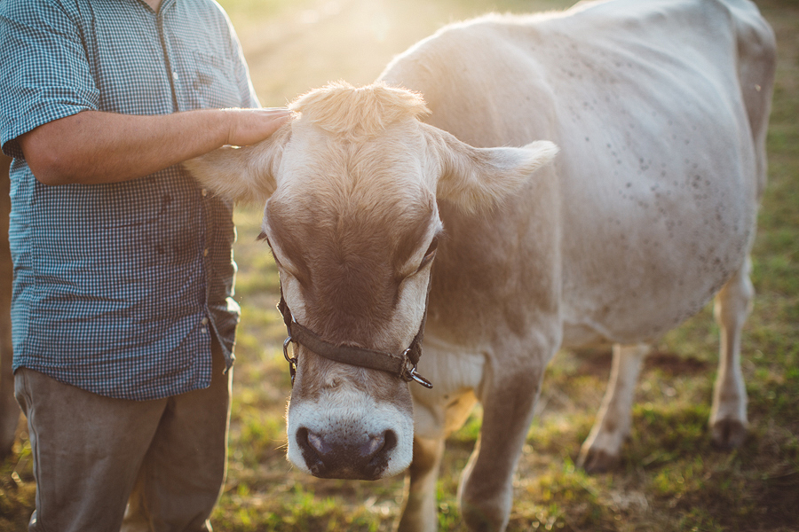 Raw-Dairy-Photographs-048.JPG