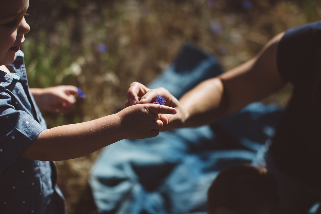 Boise-Family-Photographer-18.jpg