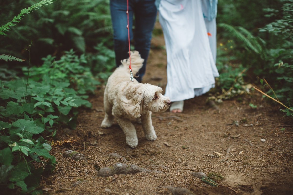 Portland-Family-Photos-228.jpg