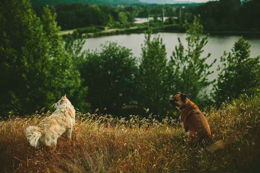 Columbia-River-Gorge-Family-Photographs-17.jpg