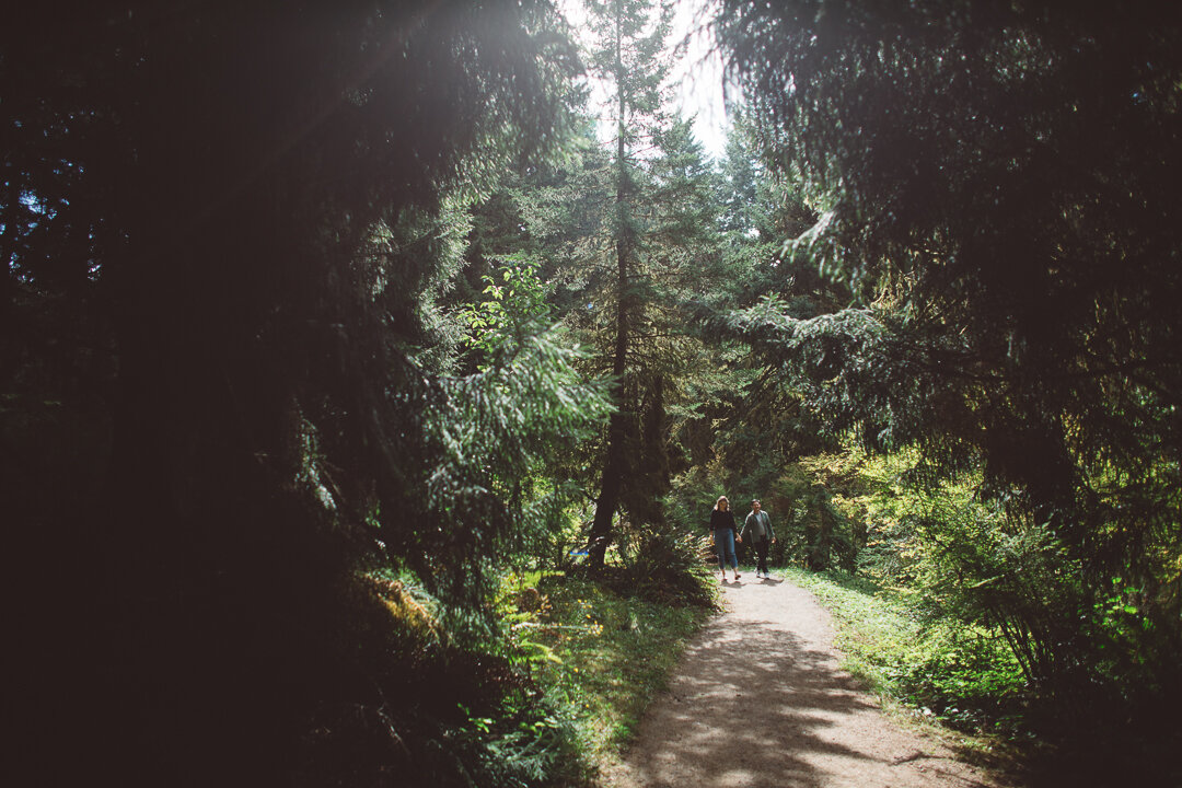 Hoyt-Arboretum-Family-Photographs-59.jpg
