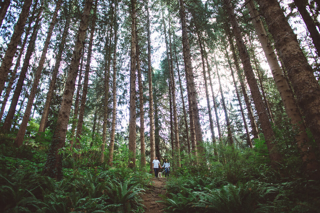 Hoyt-Arboretum-Family-Photographs-96.jpg