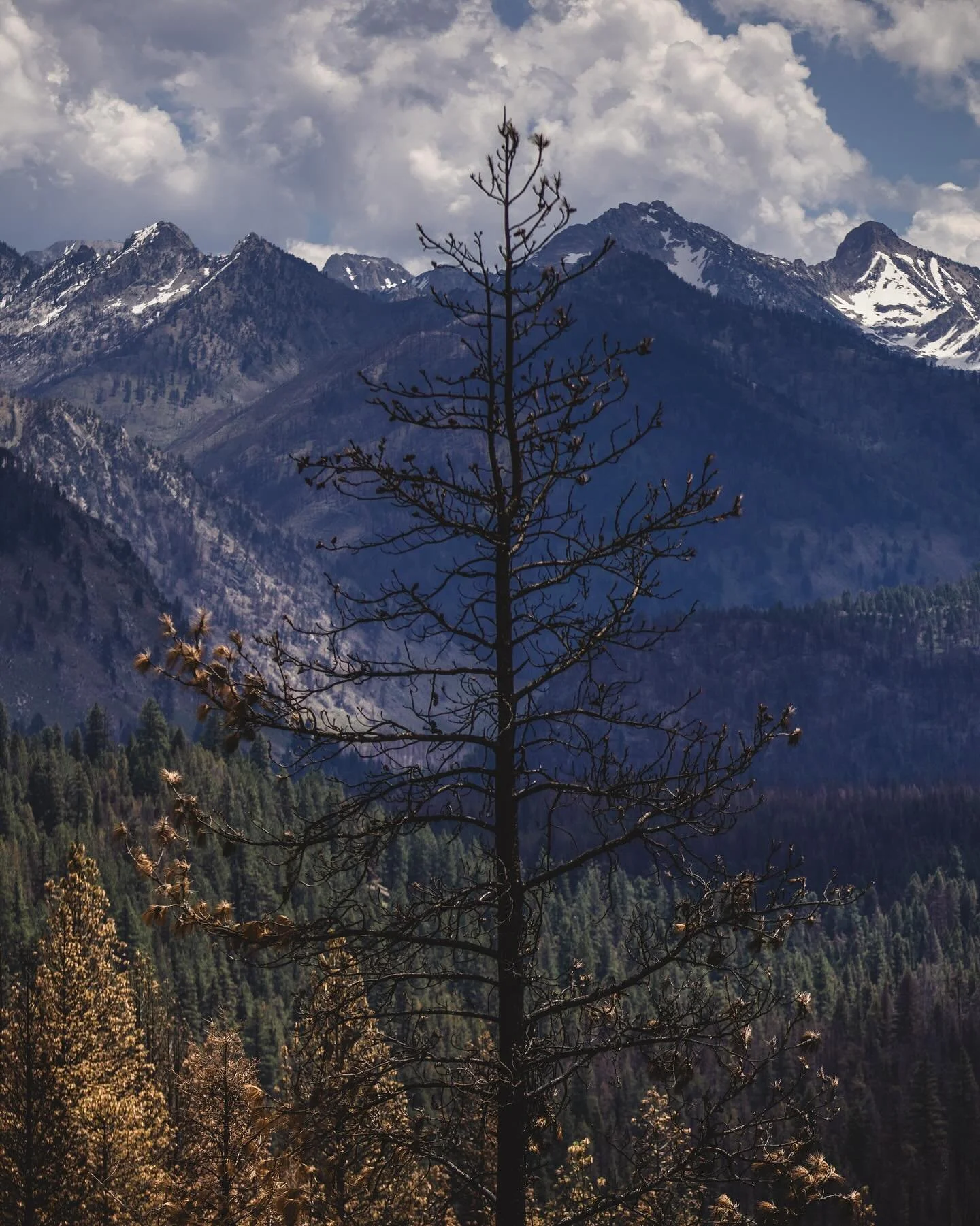 These photos are from day one of my three day photoshoot for The Stanley Sawtooth Chamber of Commerce @stanley_id back in June.

I think I&rsquo;ll break this photoshoot up into multiple posts, there&rsquo;s a lot to cover here and a lot of different