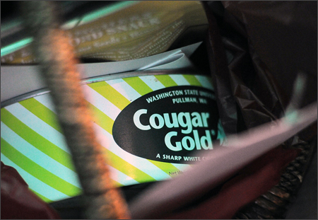 2012_Cougar-Gold.jpg