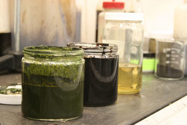 biobased.png