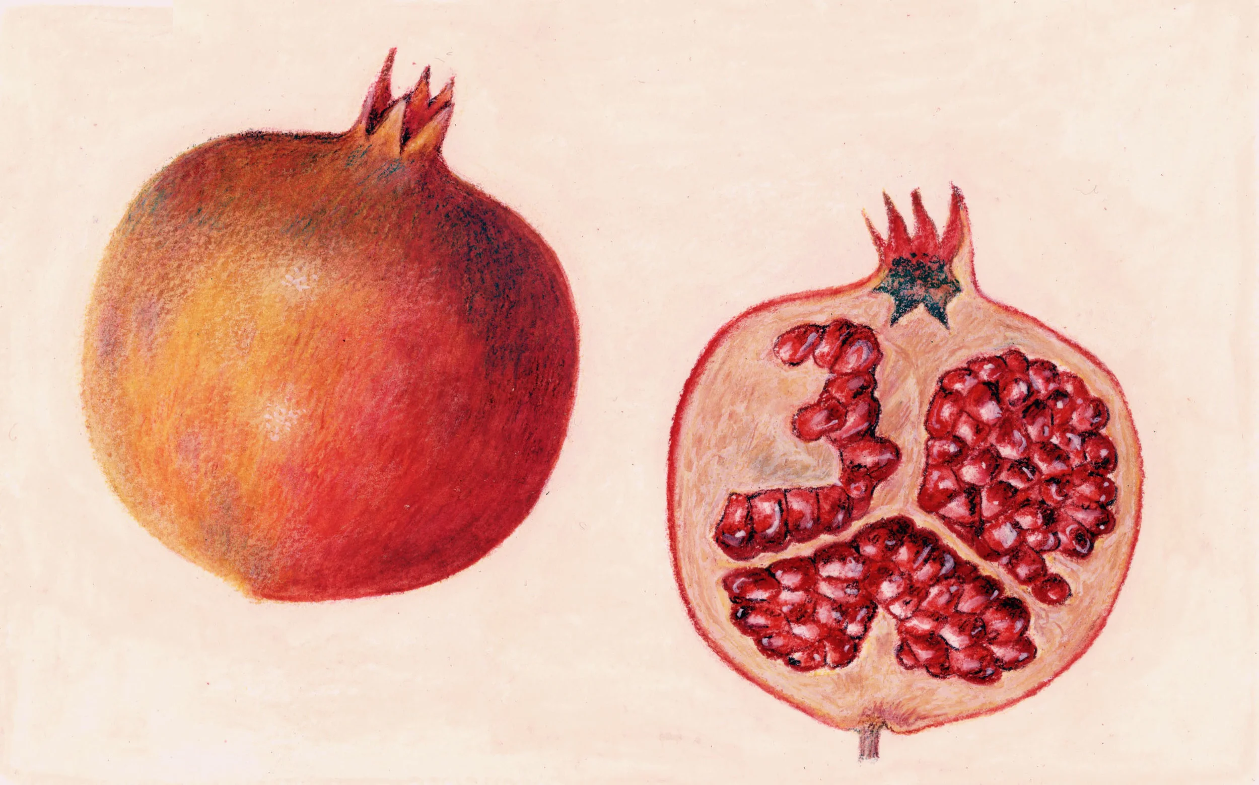 MDA-BOTANICAL PUBLISHED 1.jpeg