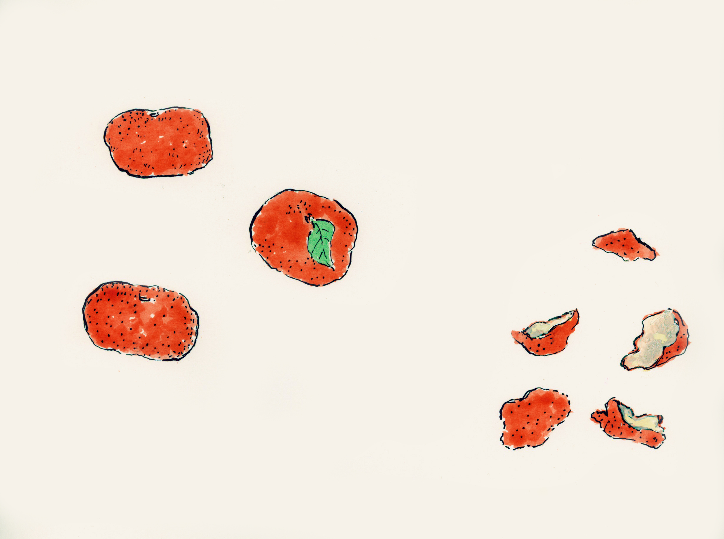 MDA-ILLUSTRATION-BOTANICAL 3.jpeg