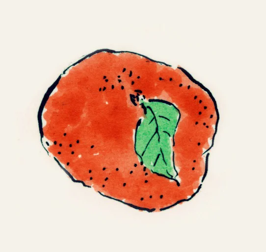 MDA-ILLUSTRATION-BOTANICAL 3-.jpeg