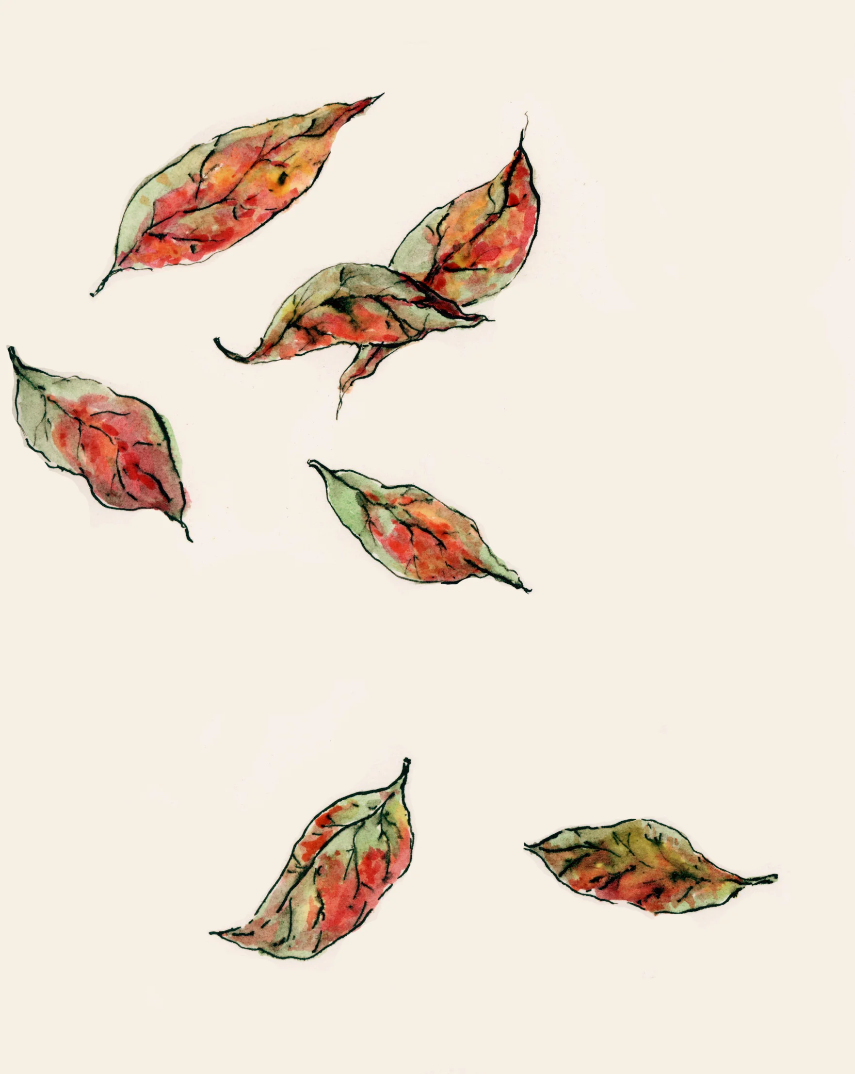 MDA-ILLUSTRATION-BOTANICAL 9-2-.jpeg