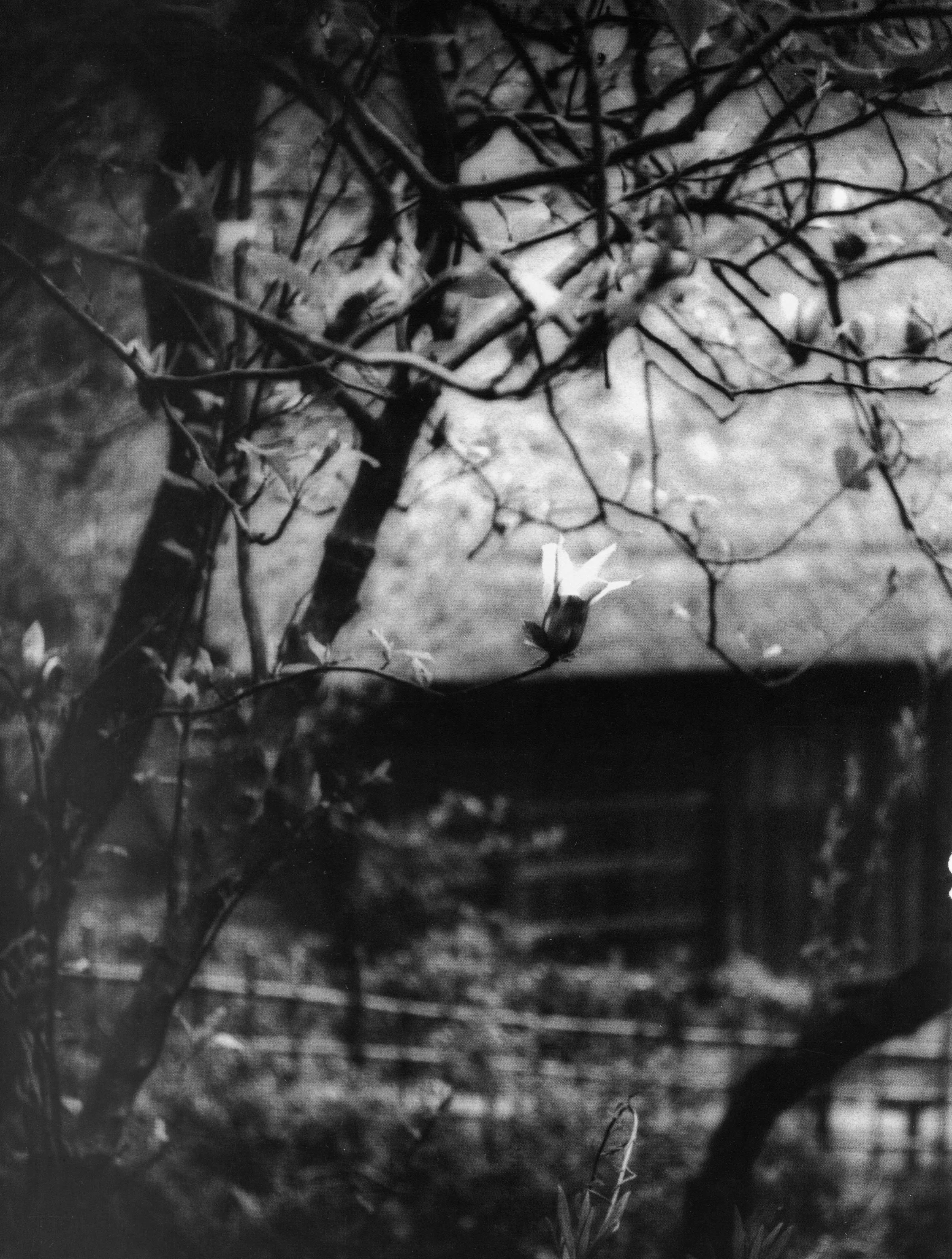 MDA-WRITING-RICE PAPER HOUSE 1.jpeg