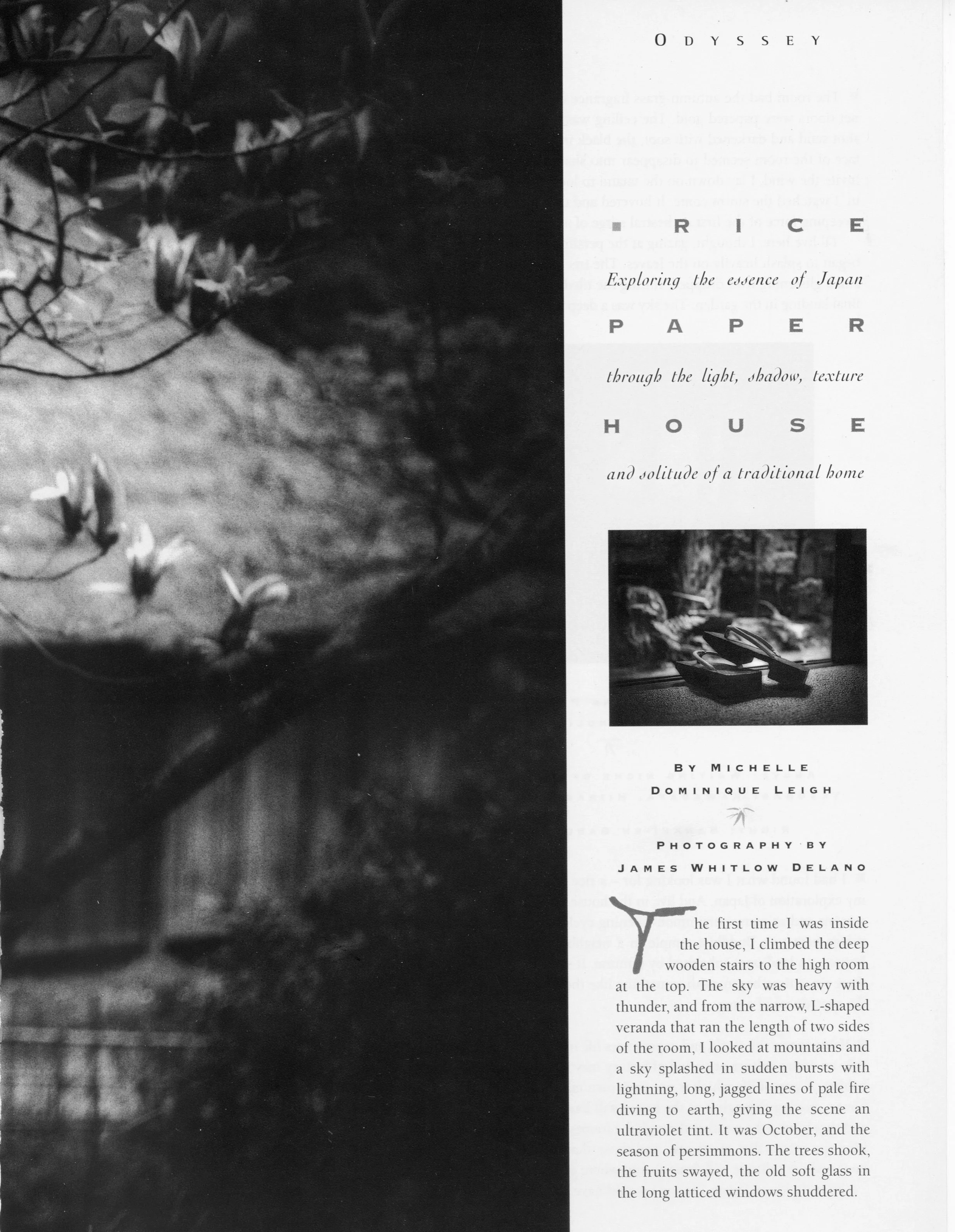 MDA-WRITING-RICE PAPER HOUSE 2.jpeg