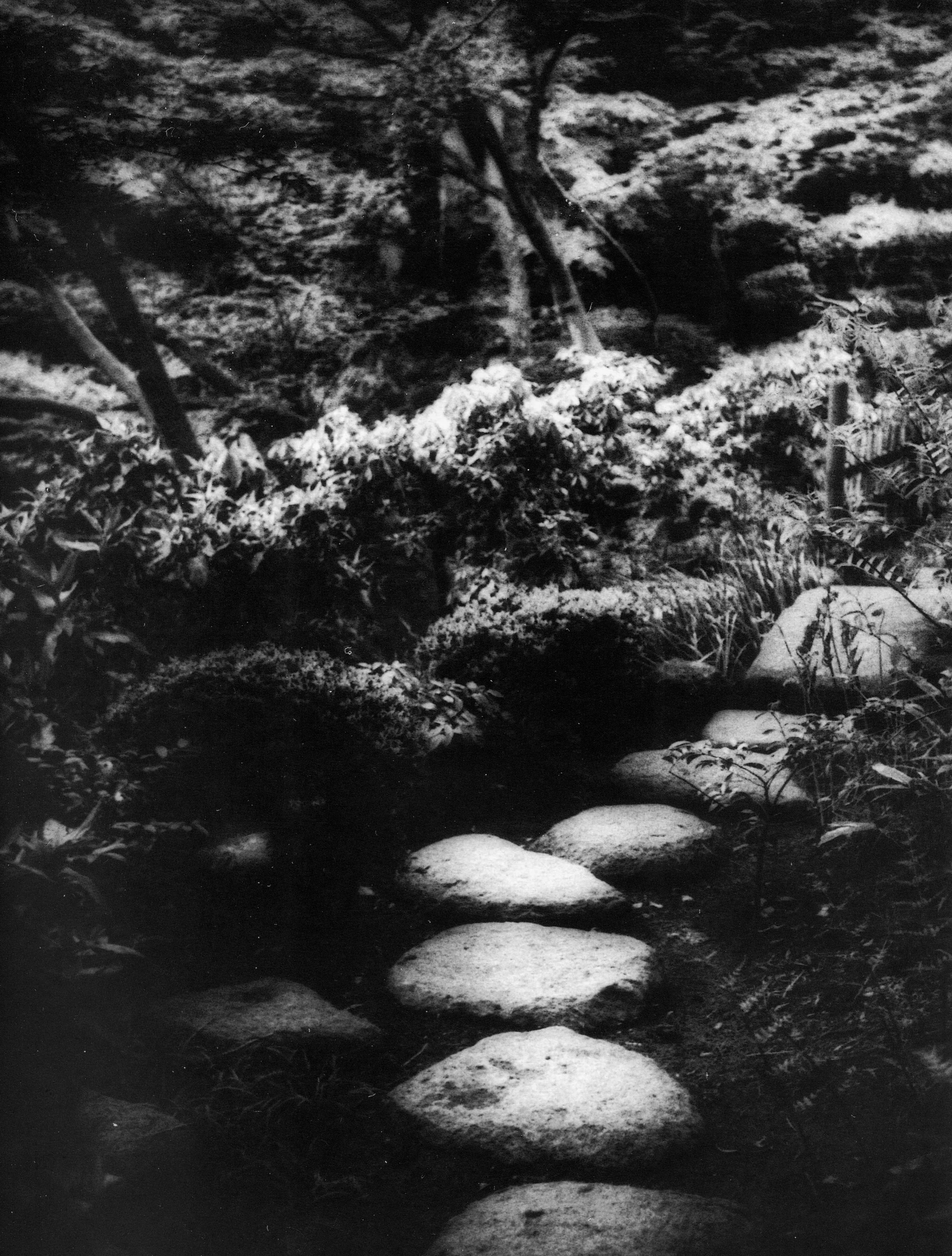 MDA-WRITING-RICE PAPER HOUSE 7.jpeg