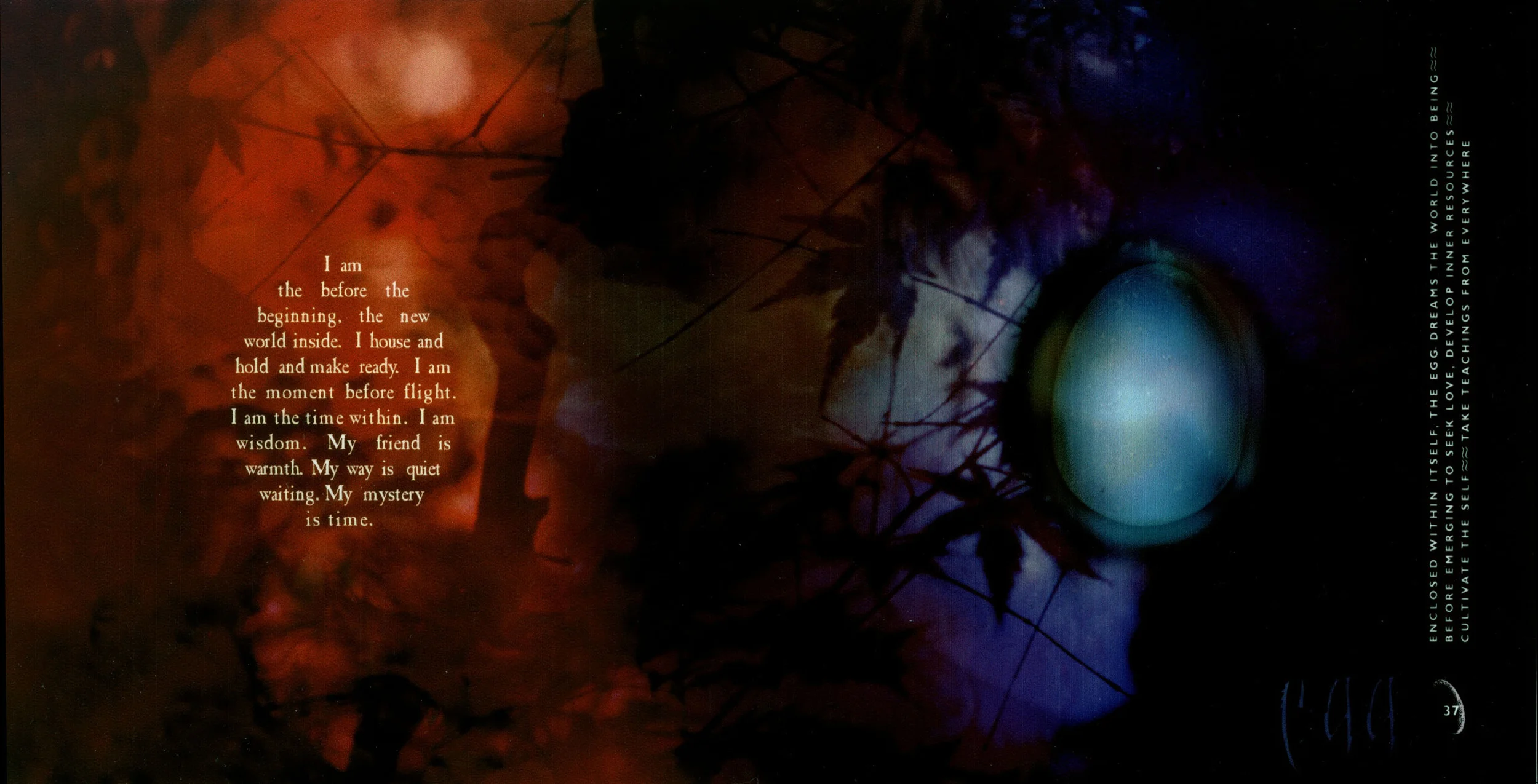 MDA-AWAITING A LOVER 7.jpeg