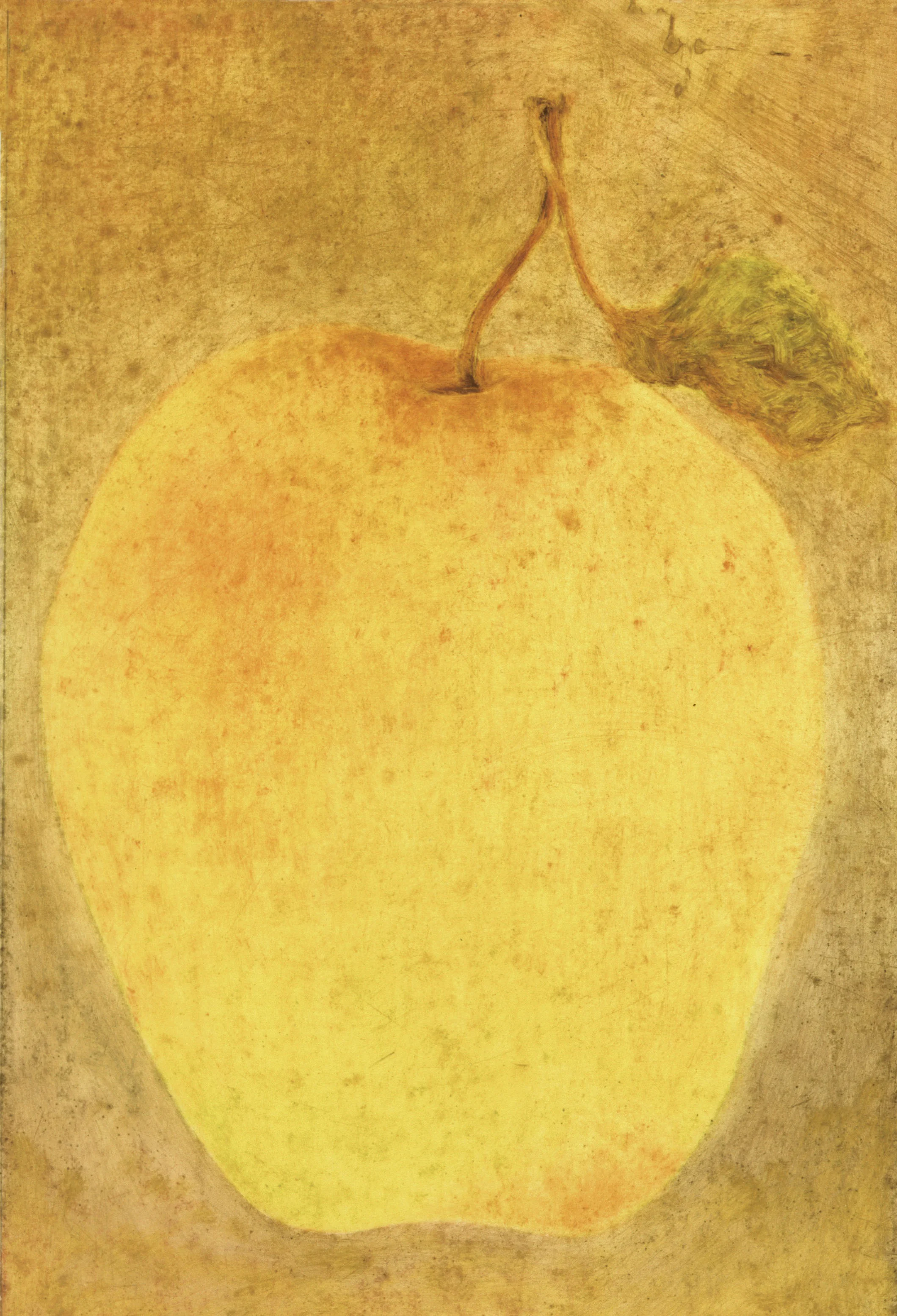 MDA-BOTANICAL 2.jpeg