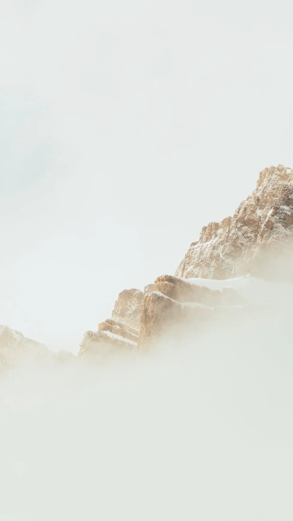 201904074931 Erin + Bryan.jpg