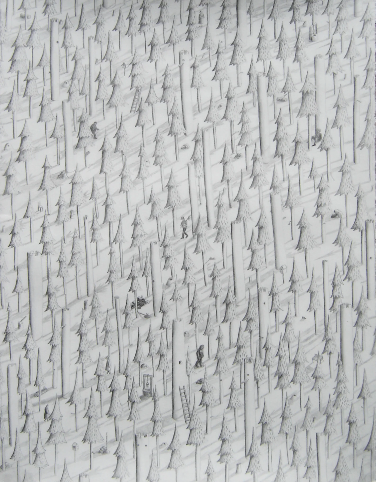 pencilwoods copy.jpg