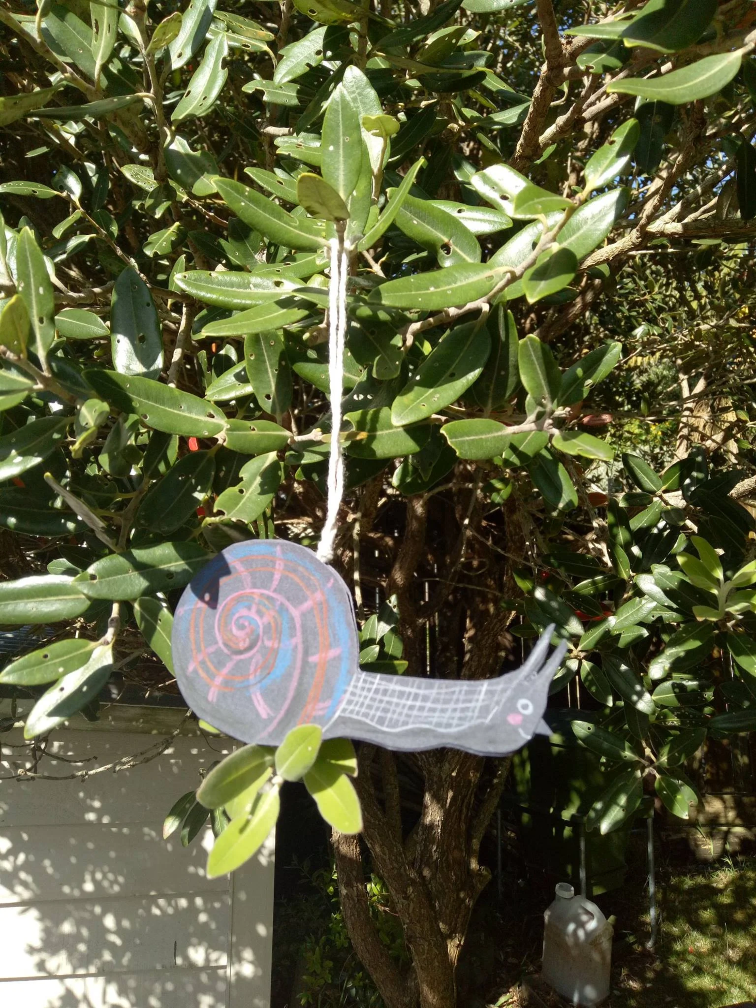 Paper cut snail - coloured pencil on paper. Paper ornament workshop example .