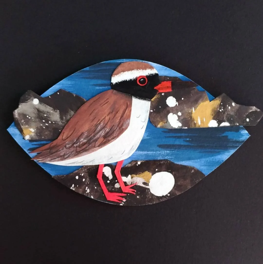 Tuturuatu/Shore plover - painted paper collage. Made for Seed Gallery's A New Leaf exhibition