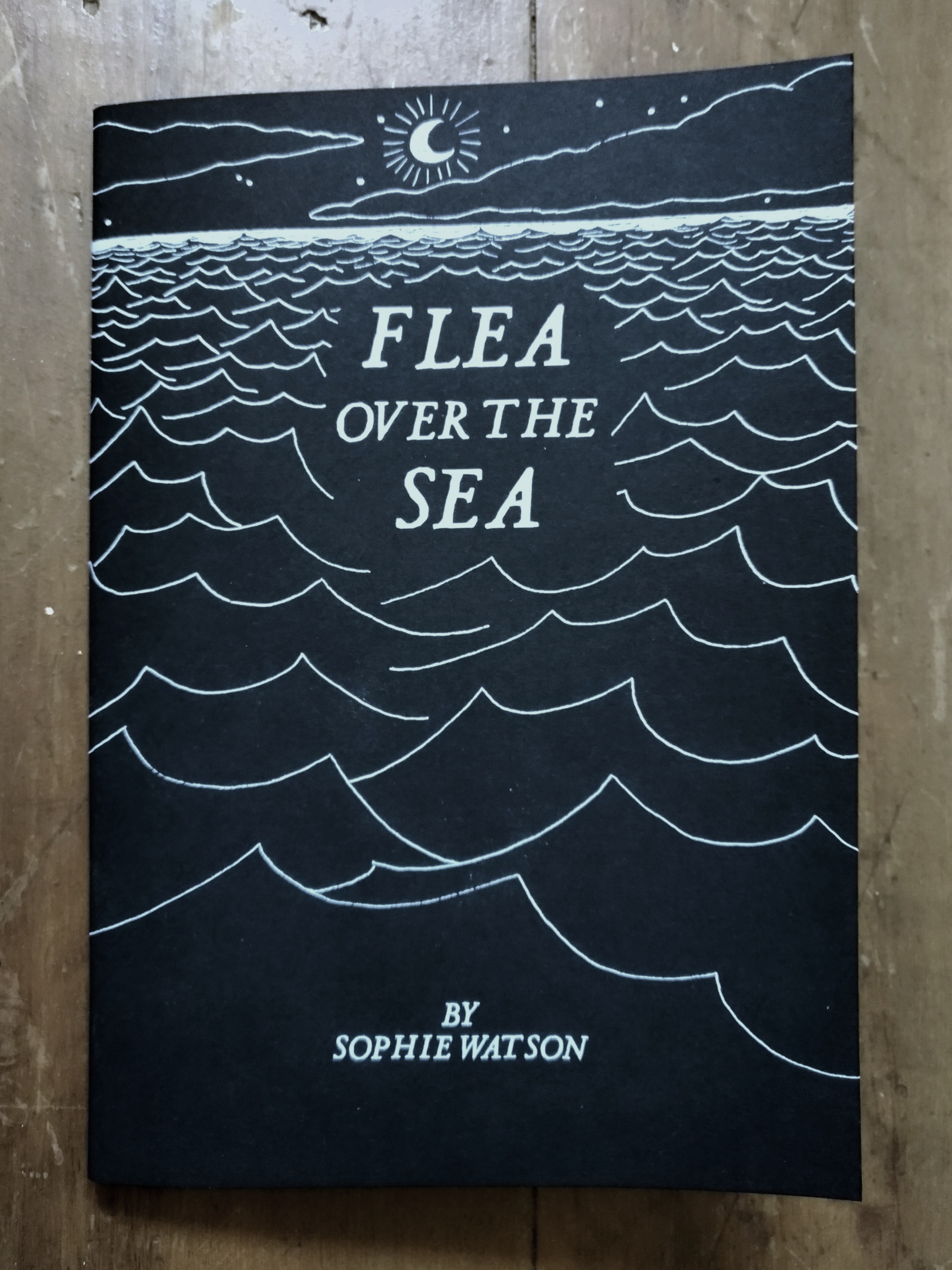 Flea Over The Sea 2nd Edition