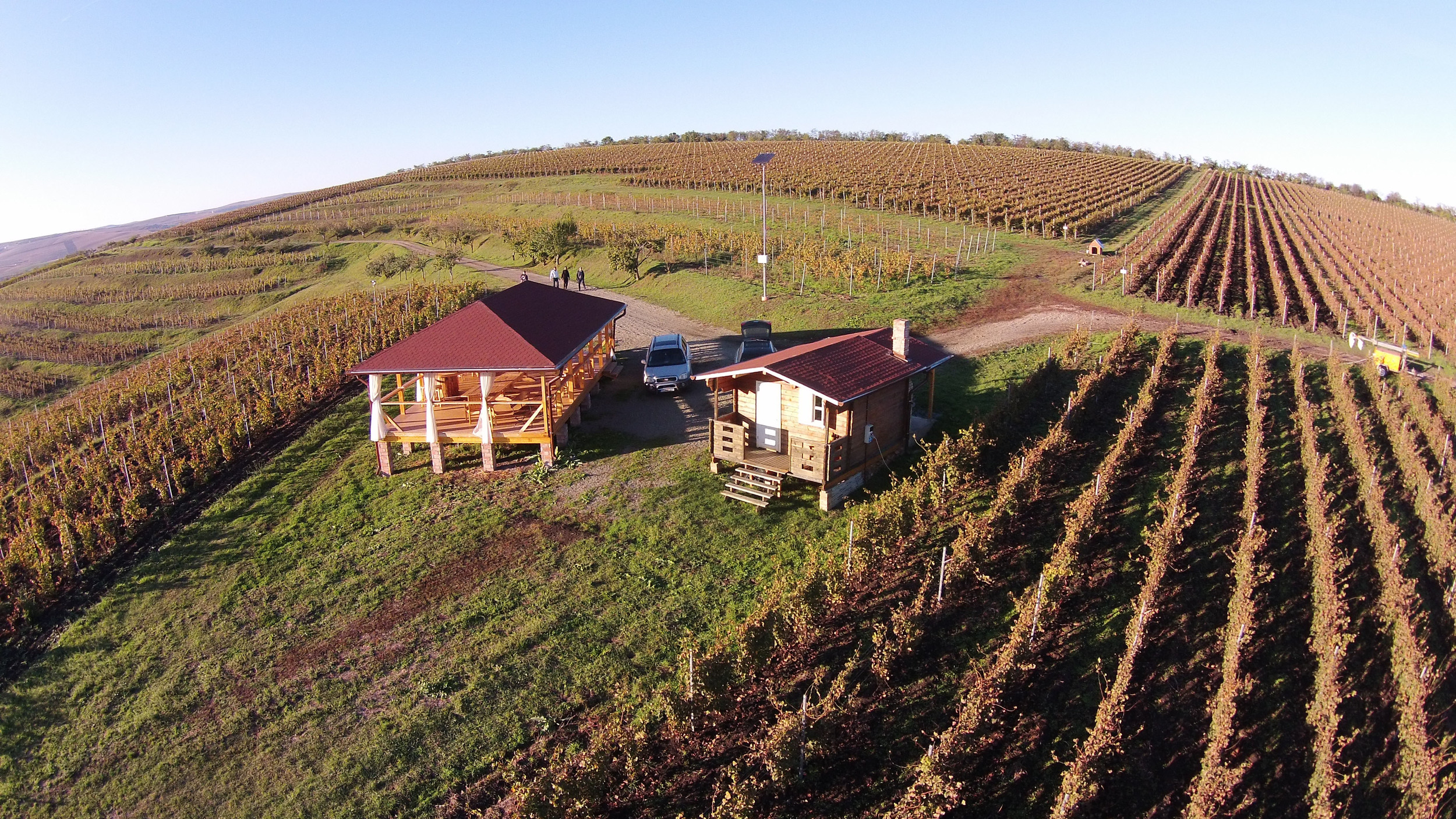 DJI00385_.jpg