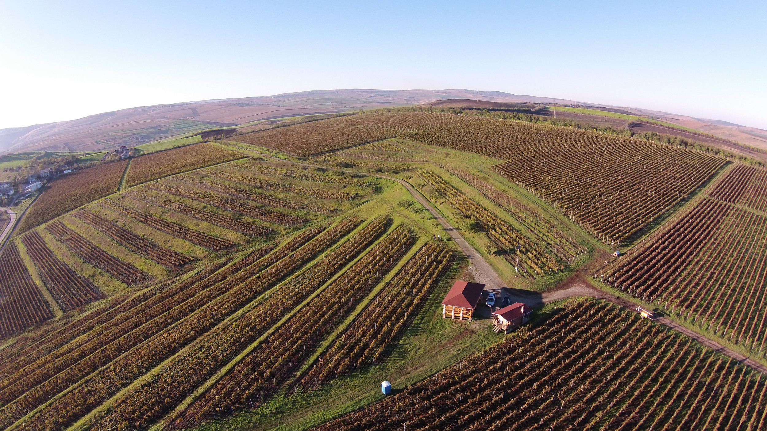 DJI00374_.jpg