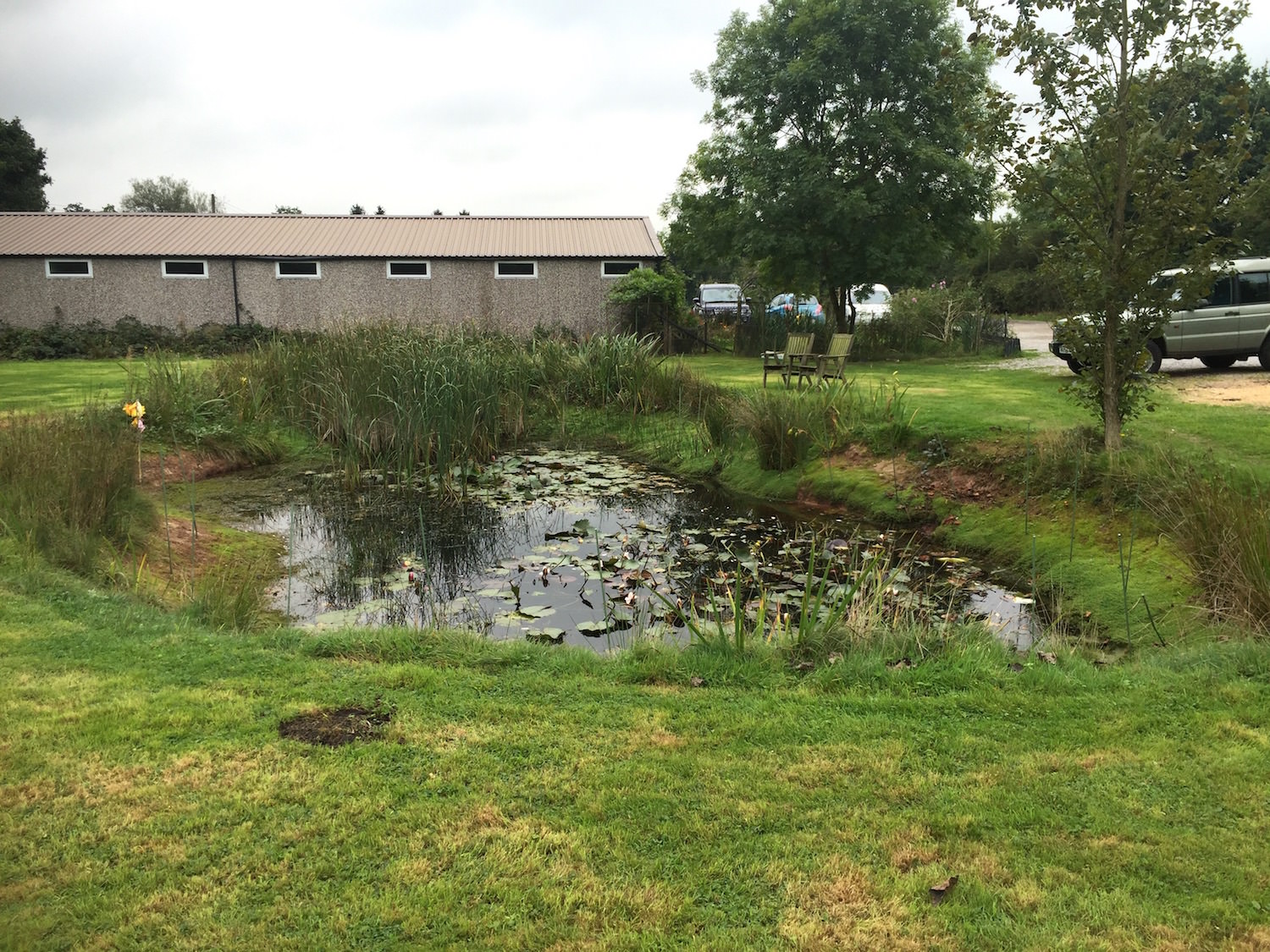 garden pond