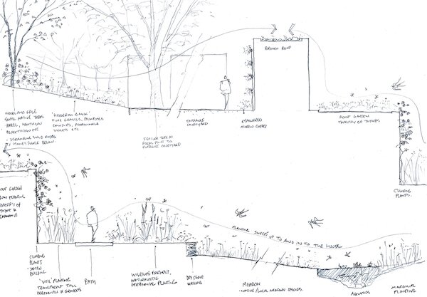  Drawing  SeedLandscape  