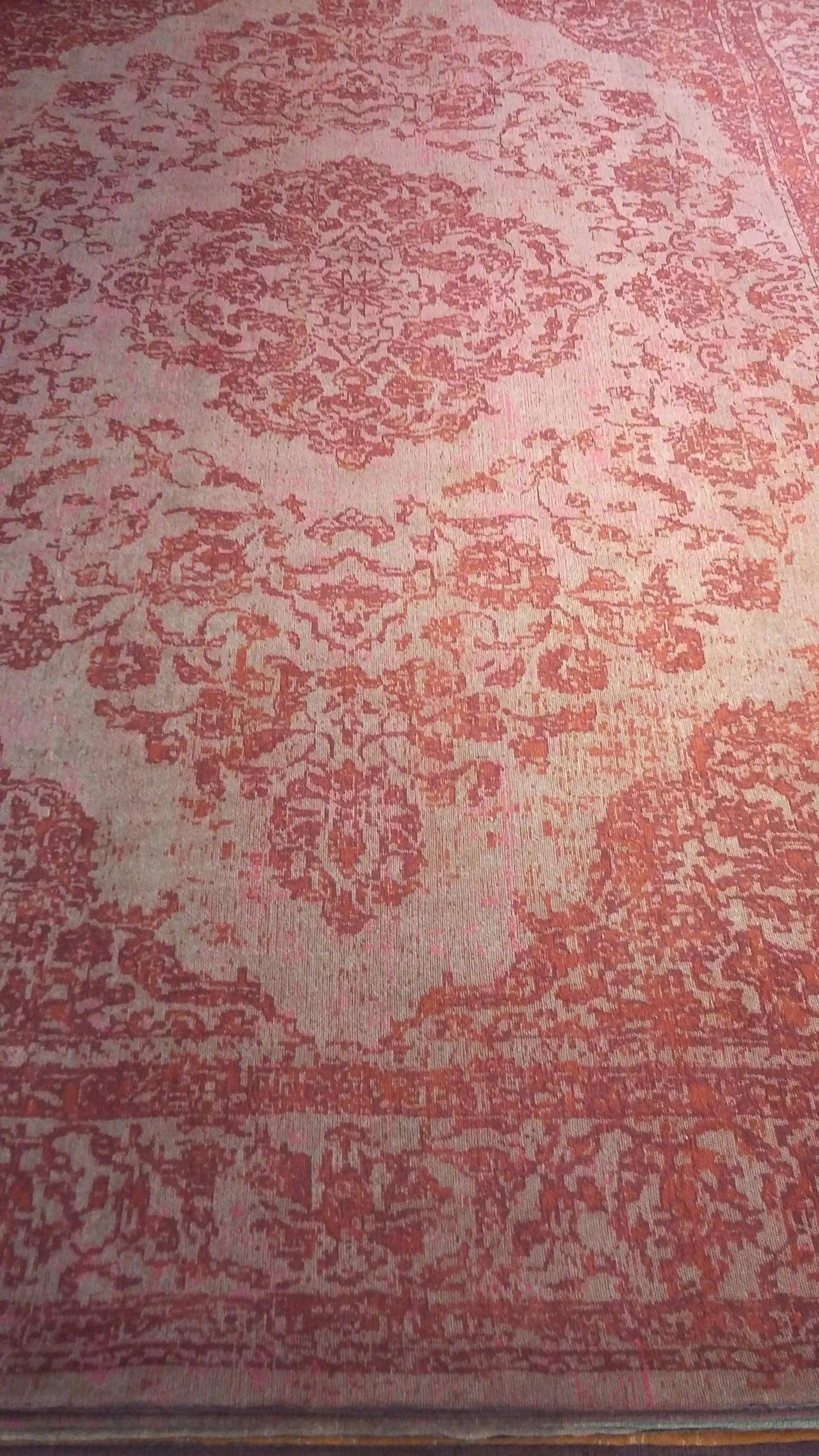 20180420_112615.jpg