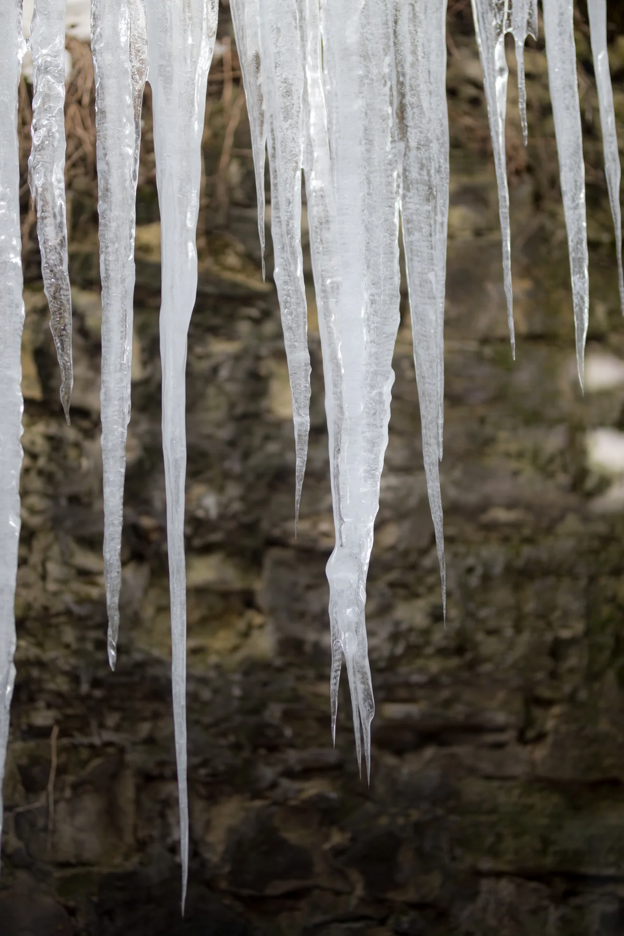 IMG_0056-Preview.jpg
