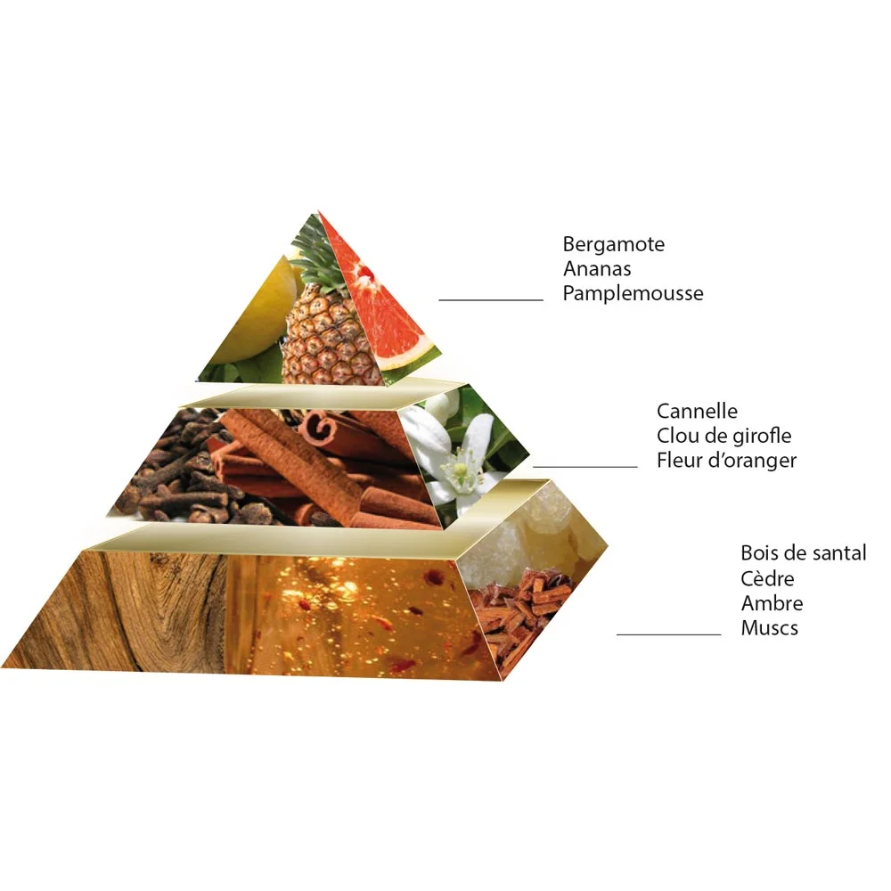 OR-STAR-pyramid.jpg
