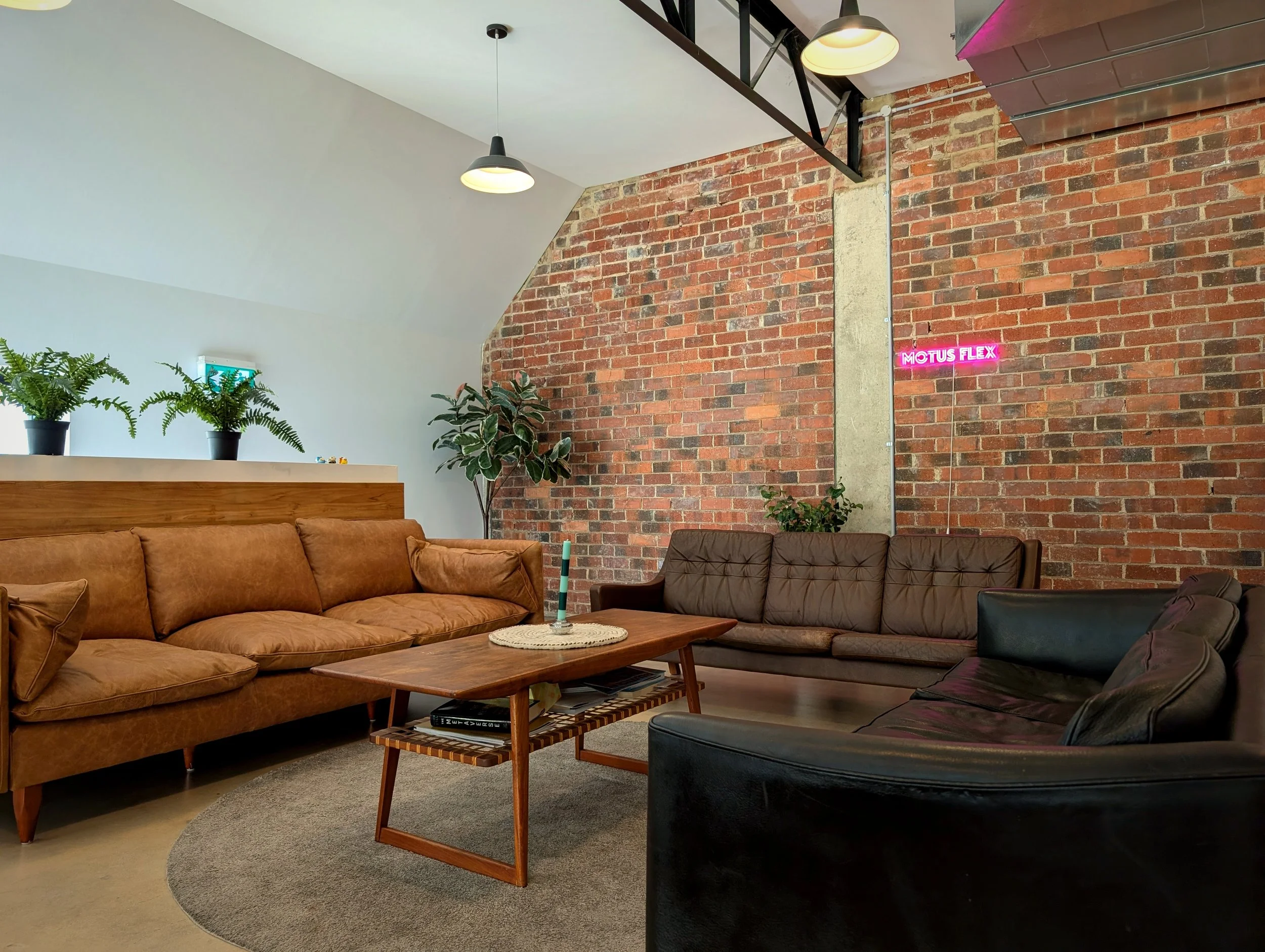 motus-flex-lounge-graded.jpg