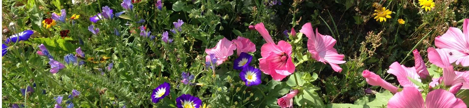 gardenresources.jpg
